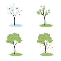 four seasons for a tree vector