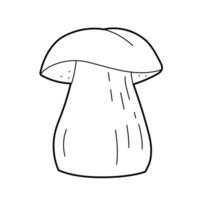 Big white mushroom, boletus, spongy mushroom. Vector black white outline  illustration. Design elements or page of children's coloring book.