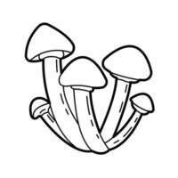 Mushrooms - honey fungus. Vector black white outline  illustration. Design elements or page of children's coloring book.