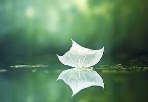 White transparent leaf on mirror surface with reflection on green background macro. Generative AI photo