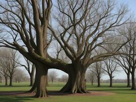 tree beautiful close up image ai generated photo