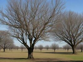 tree beautiful close up image ai generated photo