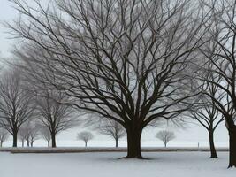 tree beautiful close up image ai generated photo