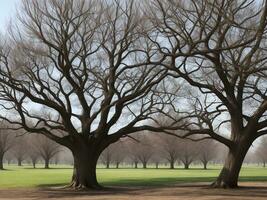 tree beautiful close up image ai generated photo