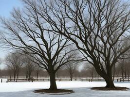 tree beautiful close up image ai generated photo