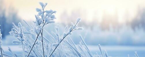 Frozen snowy grass, winter natural abstract background. beautiful winter landscape. AI Generated photo