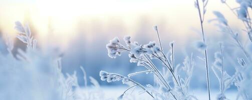 Frozen snowy grass, winter natural abstract background. beautiful winter landscape. AI Generated photo