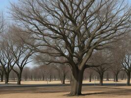 árbol hermosa cerca arriba imagen ai generado foto