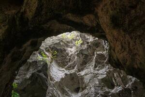 Low angle view of a dark cave exit with sunlight streaming into the cave shaft. photo