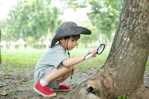 Asian boy wearing a hat in a forest exploration suit Use a magnifying glass to survey the tree area. photo