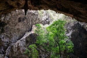 Low angle view of a dark cave exit with sunlight streaming into the cave shaft. photo