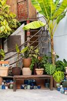 Collection of pots and plants decorate entrance to the floral store. photo