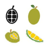 Durian Fruta icono vector