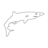 vector de icono de tiburón