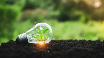 Concept of renewable energy, sustainable renewable energy sources. Plants grow in light bulb placed on a soil surface and have a natural green background. Green energy concept. photo