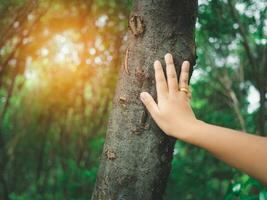 Human hand touching tree in the forest. Concept of people love nature and tree to protect from deforestation and pollution or climate change. earth day concept.Environmental protection concept. photo