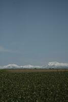 clouds over the mountains and farms photo