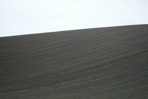 plowed field in the morning photo