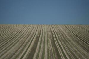 plowed field in the morning photo