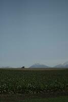 clouds over the mountains and farms photo