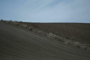 plowed field in the morning photo