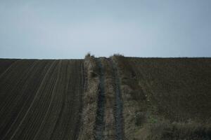 plowed field in the country photo