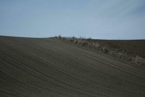 plowed field in the morning photo