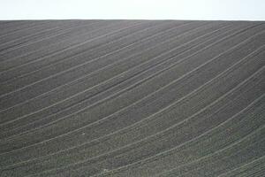 plowed field in the morning photo