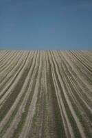 plowed field in the morning photo