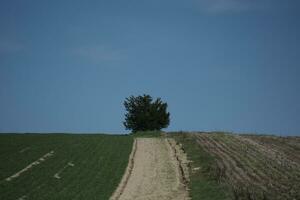 road in the mountains and countryside photo