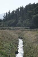 river path in the mountains photo
