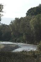 the river in the forest photo