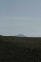 plowed field in the morning photo