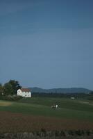 old house in the field photo