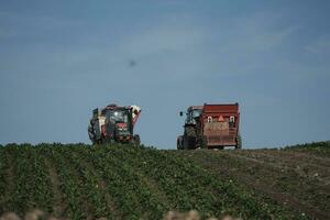 combine harvester working in a field photo