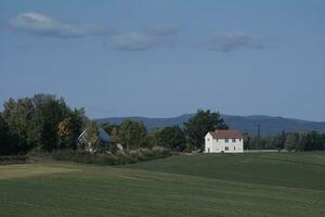 old house in the field photo