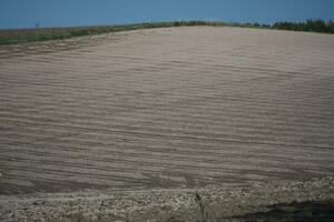 plowed field in the morning photo