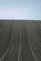 plowed field in the morning photo