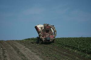 combine harvester working in a field photo