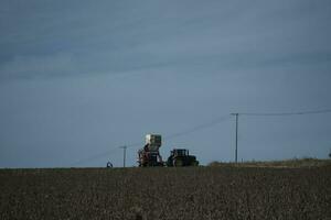 combine harvester working in a field photo