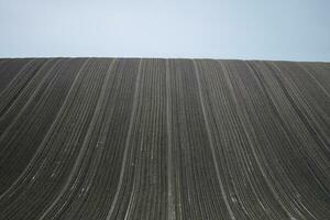 plowed field in the morning photo