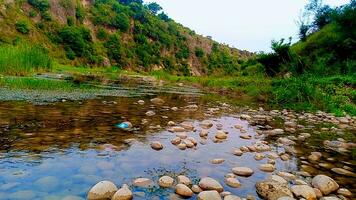 Stones in clean water in a stream photo