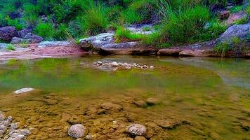 natural rocas césped junto a agua foto