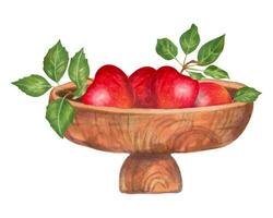 Wooden bowl with red apples and green leaves.Natural food fruits. Botanical artwork.Watercolor and markers.Hand drawn isolated art vector