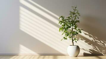 A House Plant's Elegance in the Play of Sunlight and Shadows. Generative AI photo