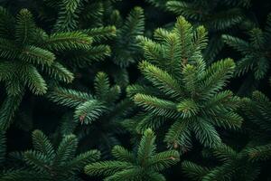 Fir tree branches background. Christmas wallpaper concept. Generative AI photo