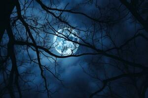 Night dark sky with full moon and branches. Tree branches in the moonlight on a dark background. Generative AI photo