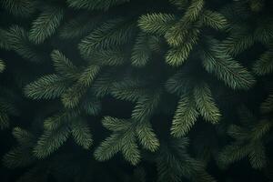 Fir tree branches background. Christmas wallpaper concept. Generative AI photo