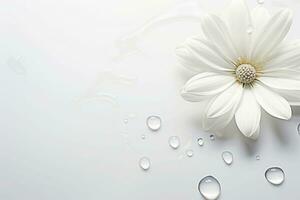 Water drops on white clean flower in a naturally bright environment. Minimalist background. Generative AI photo