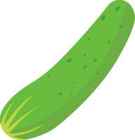 Cucumber vector. Cucumber on white background. vector